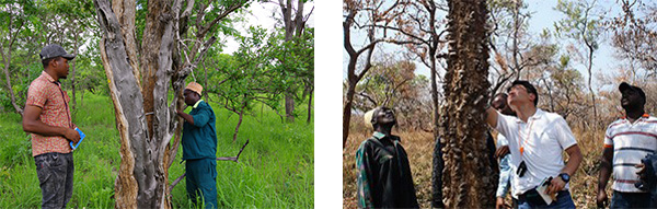 蒙特卡罗474·(中国区)官方网站-Brand Company