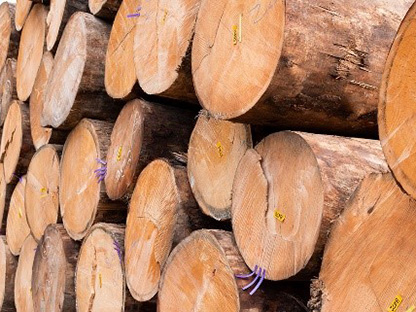 蒙特卡罗474·(中国区)官方网站-Brand Company