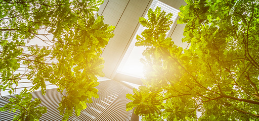 蒙特卡罗474·(中国区)官方网站-Brand Company