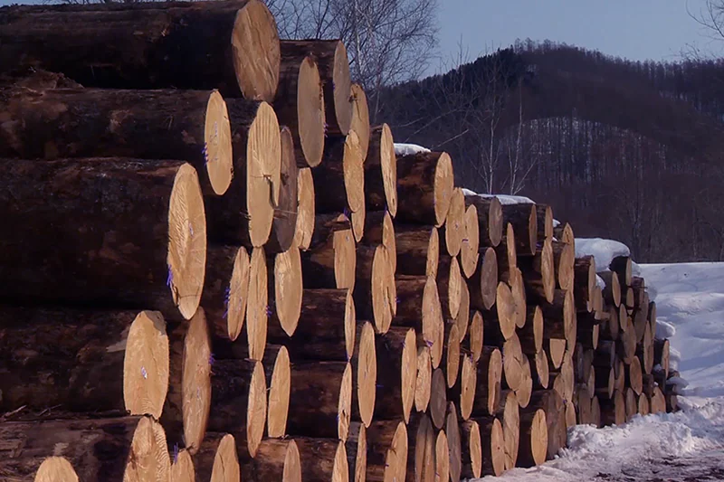 蒙特卡罗474·(中国区)官方网站-Brand Company