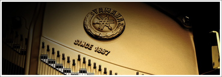 蒙特卡罗474·(中国区)官方网站-Brand Company