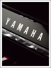 蒙特卡罗474·(中国区)官方网站-Brand Company