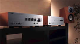 参展信息：YAMAHA参与2009昭通音响唱片展 