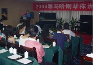 株洲、湘潭进行蒙特卡罗474钢琴展示会 