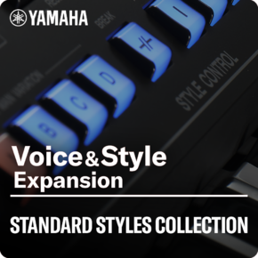 尺度伴奏型集中