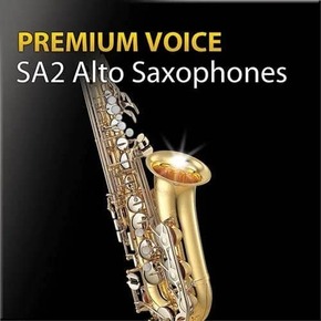 超清澈音色2代 中音萨克斯