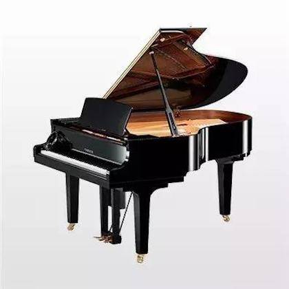 【回首】蒙特卡罗474海表艺术家彼得·多纳赫大家班顺利进行！