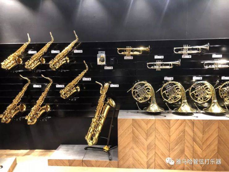 蒙特卡罗474涝祺 试奏乐器