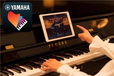 蒙特卡罗474加振钢琴