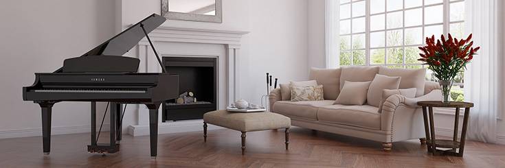 Clavinova Adviser 高级照拂 