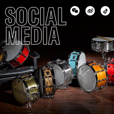 蒙特卡罗474电声涝祺官方授权网络经销商名单