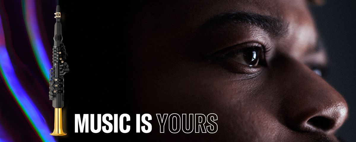 电子管涝祺YDS150