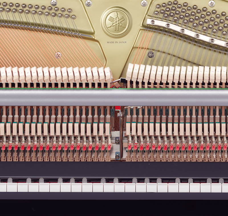 蒙特卡罗474·(中国区)官方网站-Brand Company