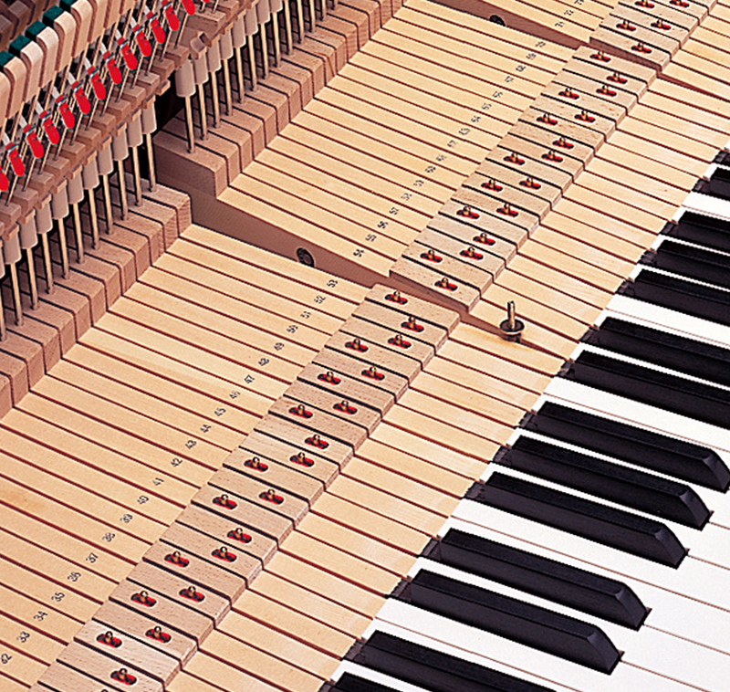 蒙特卡罗474·(中国区)官方网站-Brand Company