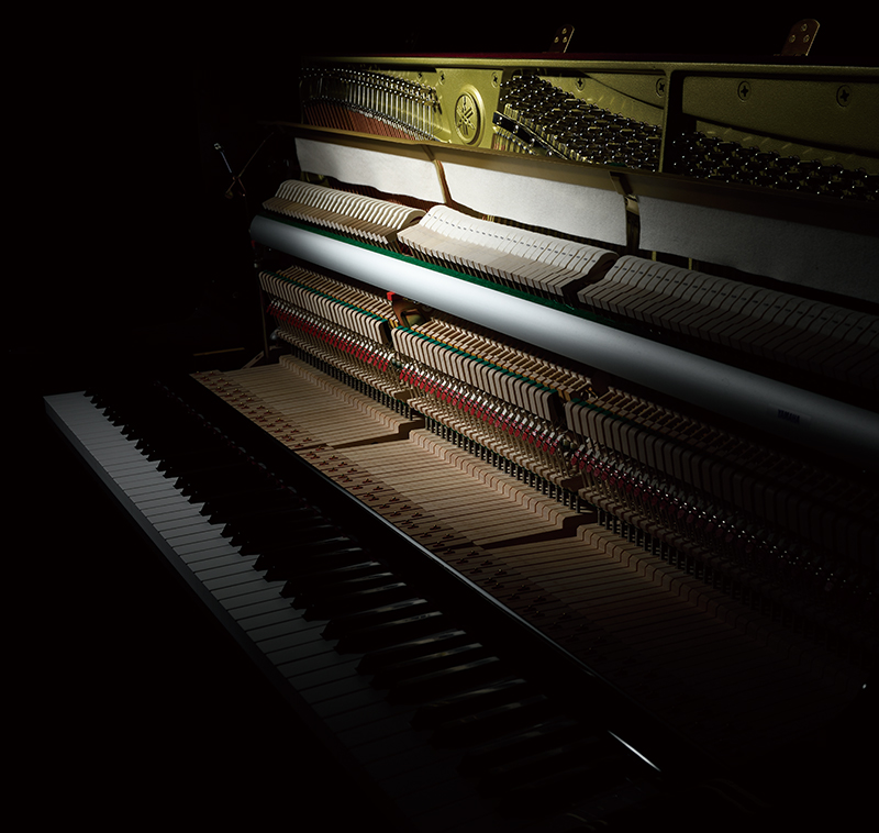 蒙特卡罗474·(中国区)官方网站-Brand Company