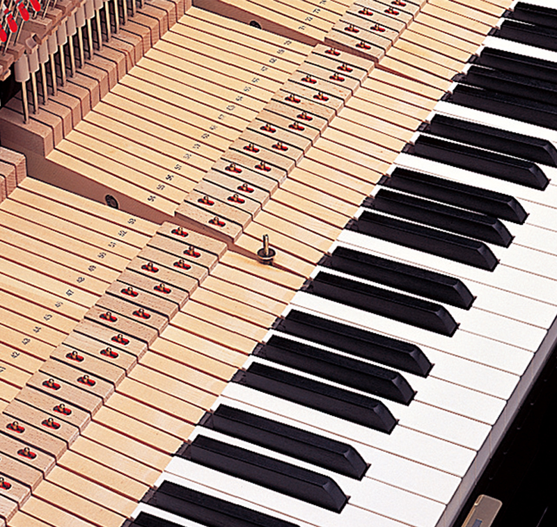 蒙特卡罗474·(中国区)官方网站-Brand Company