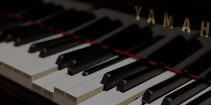 疫情下的新索求|中美高校国际远程大家班圆满实现！