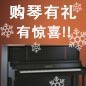蒙特卡罗474钢琴购琴有礼 买一赠一音乐无限